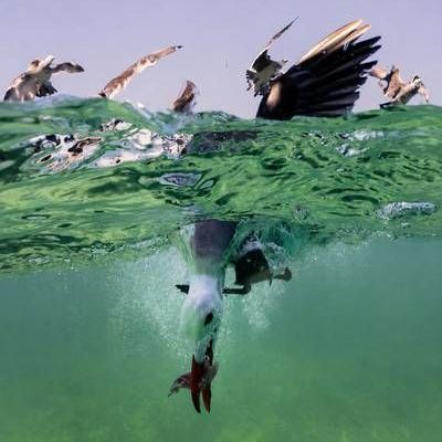 Abre-en-Guadalajara-la-exposicion-El-Mexico-de-los-mexicanos-III-con-55-fotografias