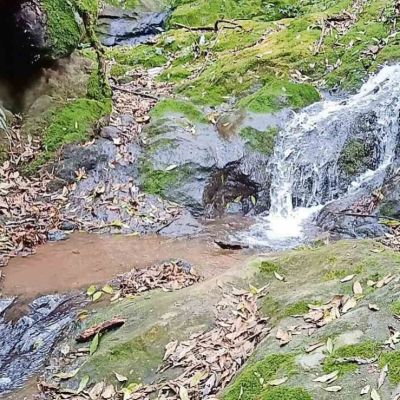 Continua-remediacion-tras-derrame-que-contamino-manantiales-en-Magdalena-Chichicaspa-Huixquilucan