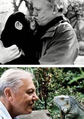 David-Attenborough-cumple-100-anos-el-8-de-mayo-de-2026-1