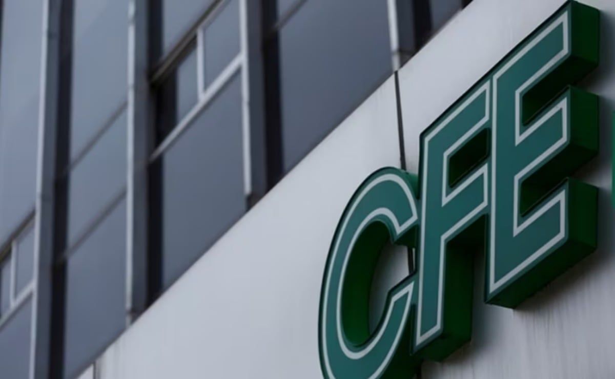 CFE-identidad-de-cuerpos-hallados-en-Huauchinango-aun-no-esta-confirmada