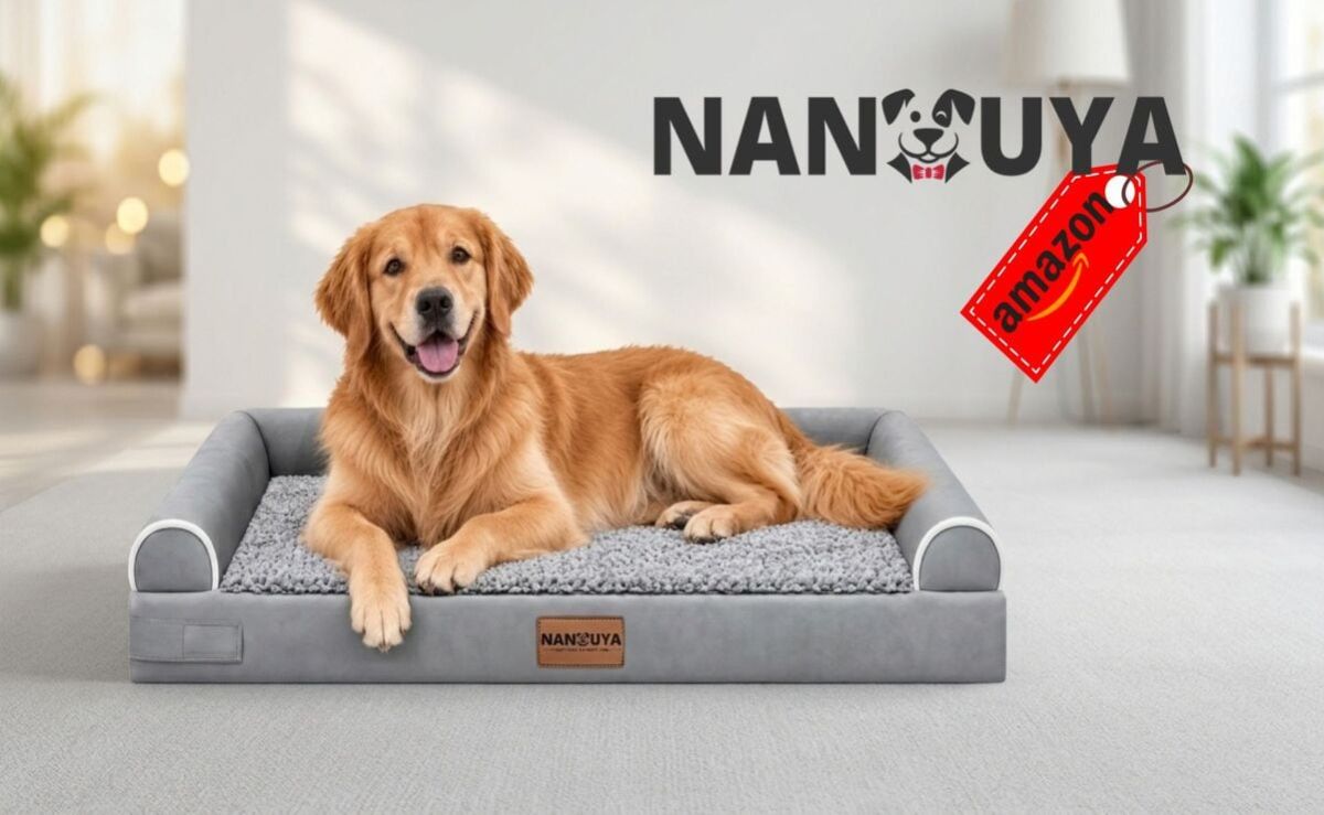 Cama-ortopedica-NANUYA-para-perros-grandes-baja-a-409.92-en-Amazon