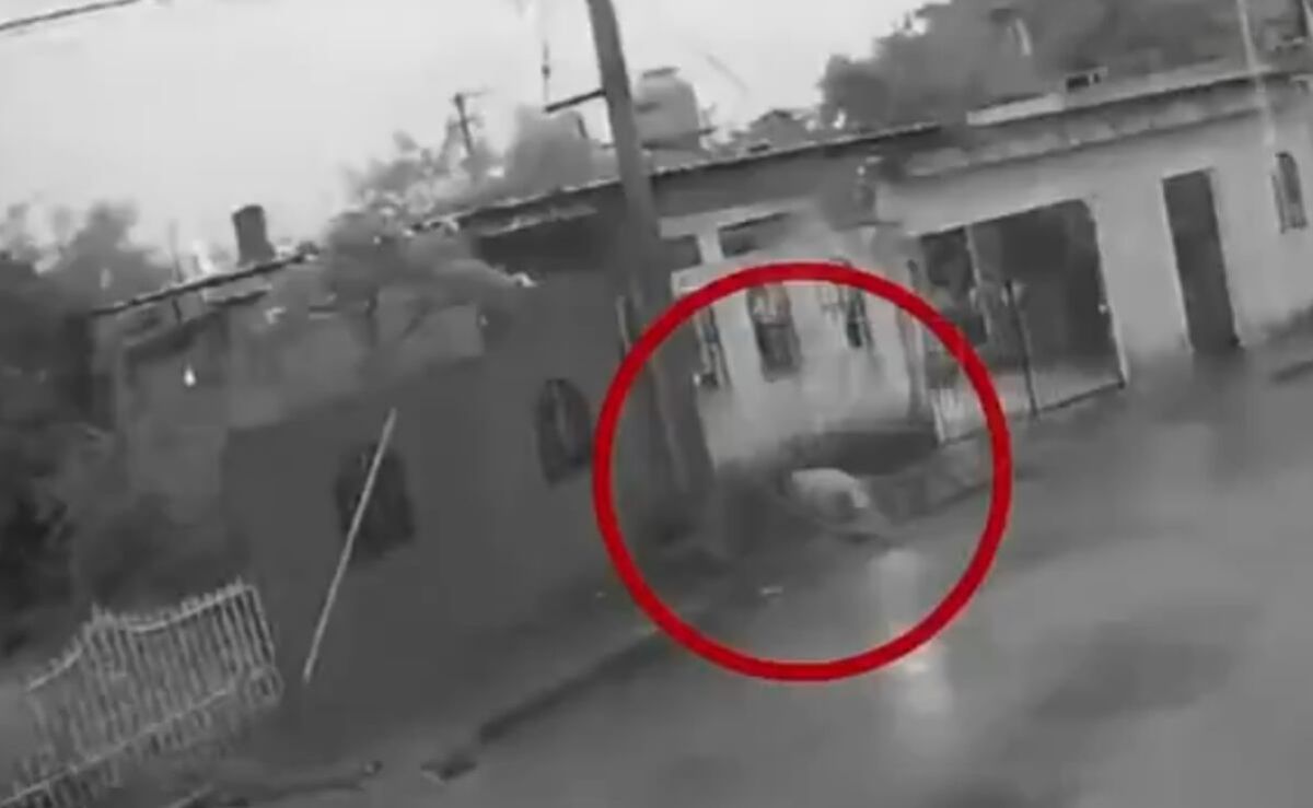 Muere-perrito-electrocutado-por-un-cable-en-calles-de-Merida