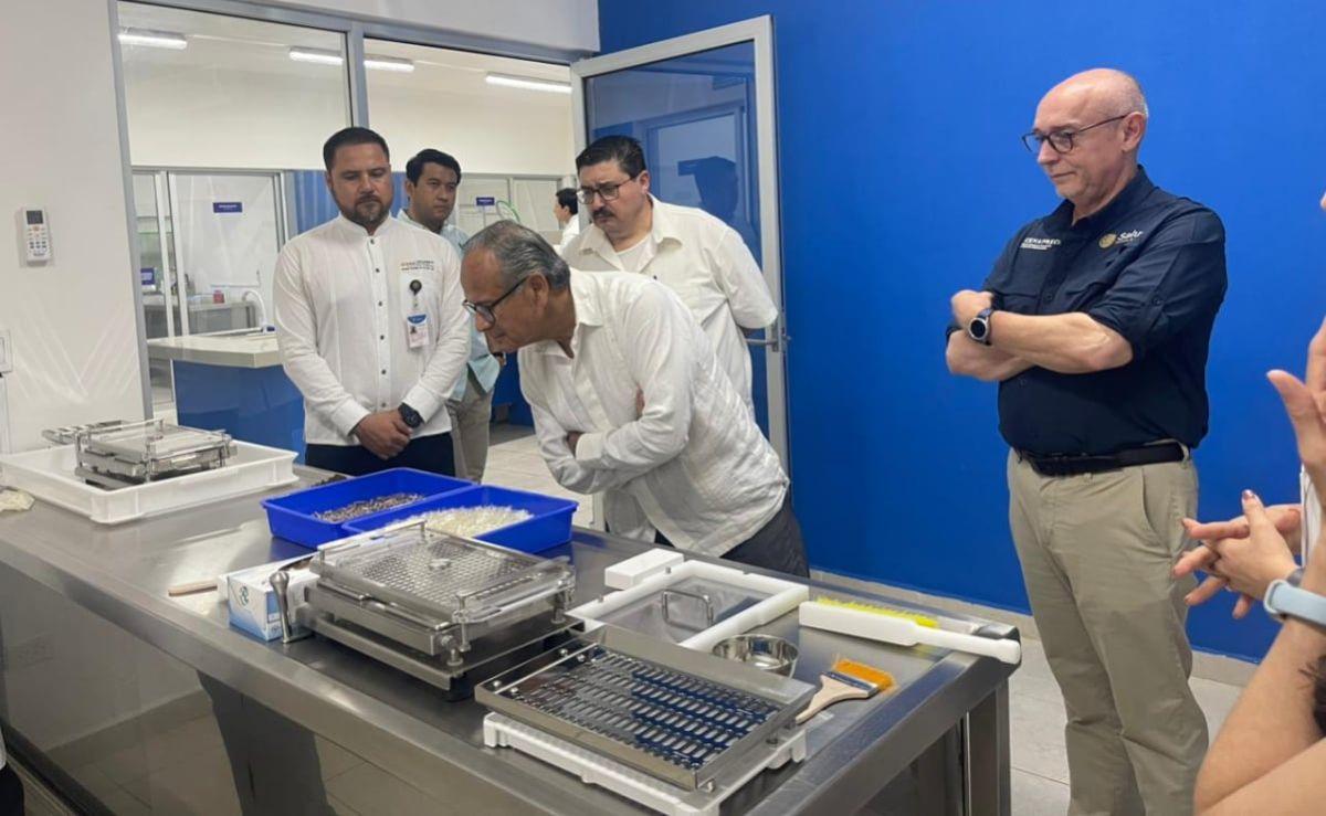 UADY-y-Cinvestav-participaran-en-el-saneamiento-de-tres-lagos-artificiales-de-Merida