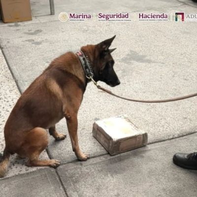 detectan-367-gramos-de-metanfetamina-ocultos-en-cargadores-de-videojuegos-en-el-aicm