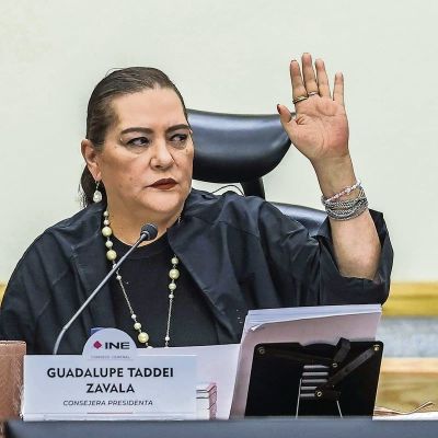 ine-anuncia-que-guadalupe-taddei-presentara-su-renuncia-este-lunes