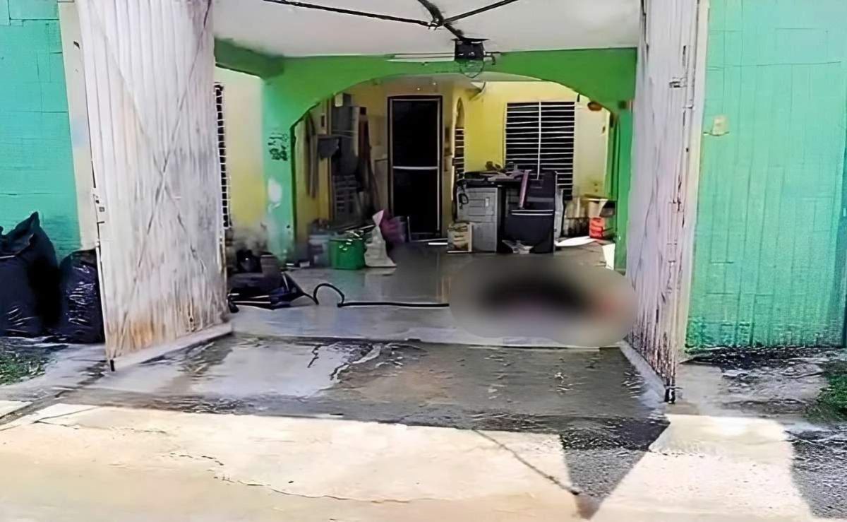 mujer-muere-tras-ataque-de-abejas-en-fraccionamiento-de-merida
